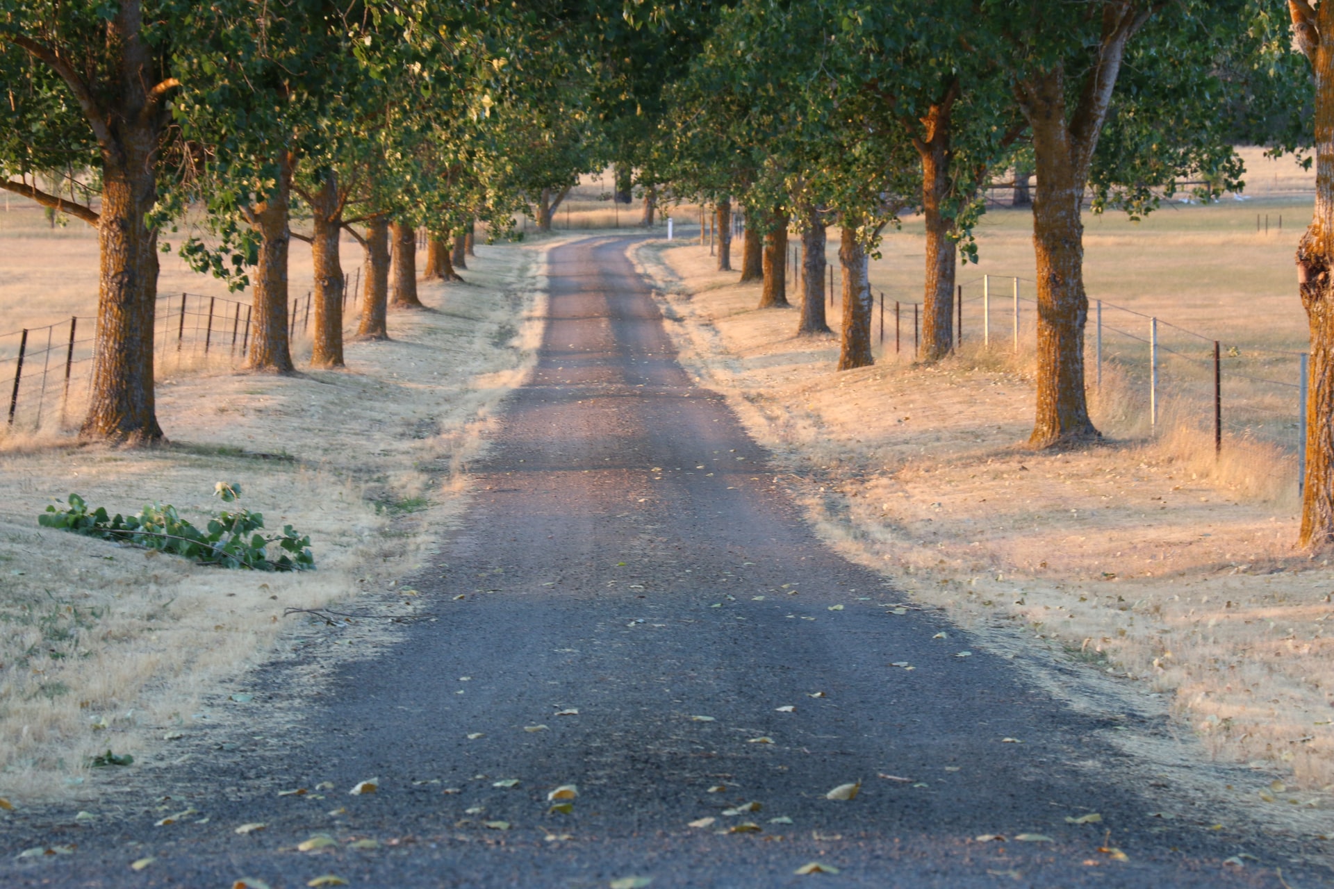 asphalt driveway