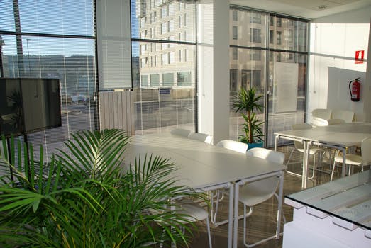 Venetian Blinds open over three floor to ceiling windows in a brightly light flat with white dining room table and green leafy plants dotted around the room.